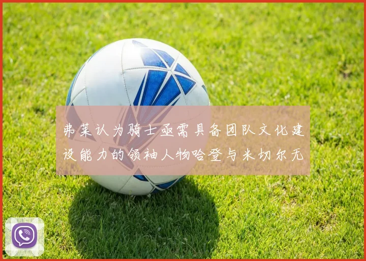弗莱认为骑士亟需具备团队文化建设能力的领袖人物哈登与米切尔无法胜任