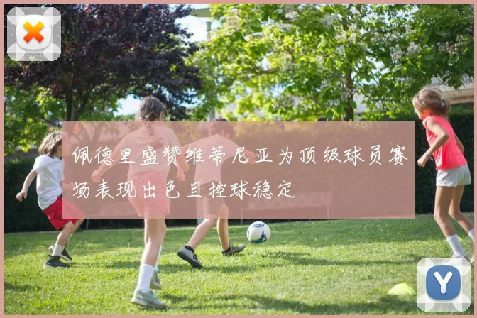 佩德里盛赞维蒂尼亚为顶级球员赛场表现出色且控球稳定